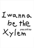 I wanna be the Xylem 最新最新版
