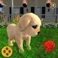 可爱的虚拟小狗游戏