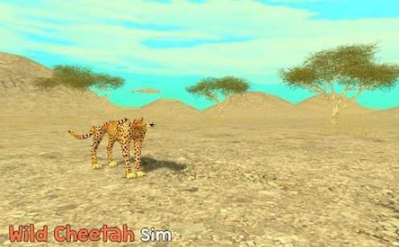 野生猎豹模拟3D