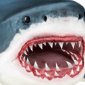 终极鲨鱼攻击游戏正式版