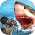 幸存者鲨鱼游戏正式版
