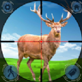 猎杀麋鹿狙击手游戏安卓版（DeerHunterShootingGame2021:SniperGames）