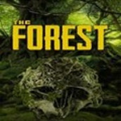 迷失森林游戏中文手机版下载安装