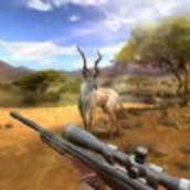 野外真实狩猎模拟游戏下载