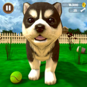 虚拟小狗模拟器游戏安装