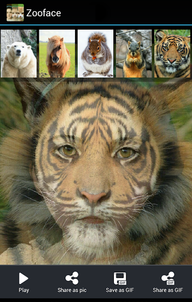 Zooface