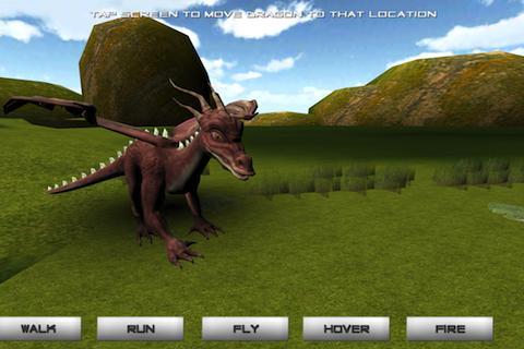 Pet Dragon