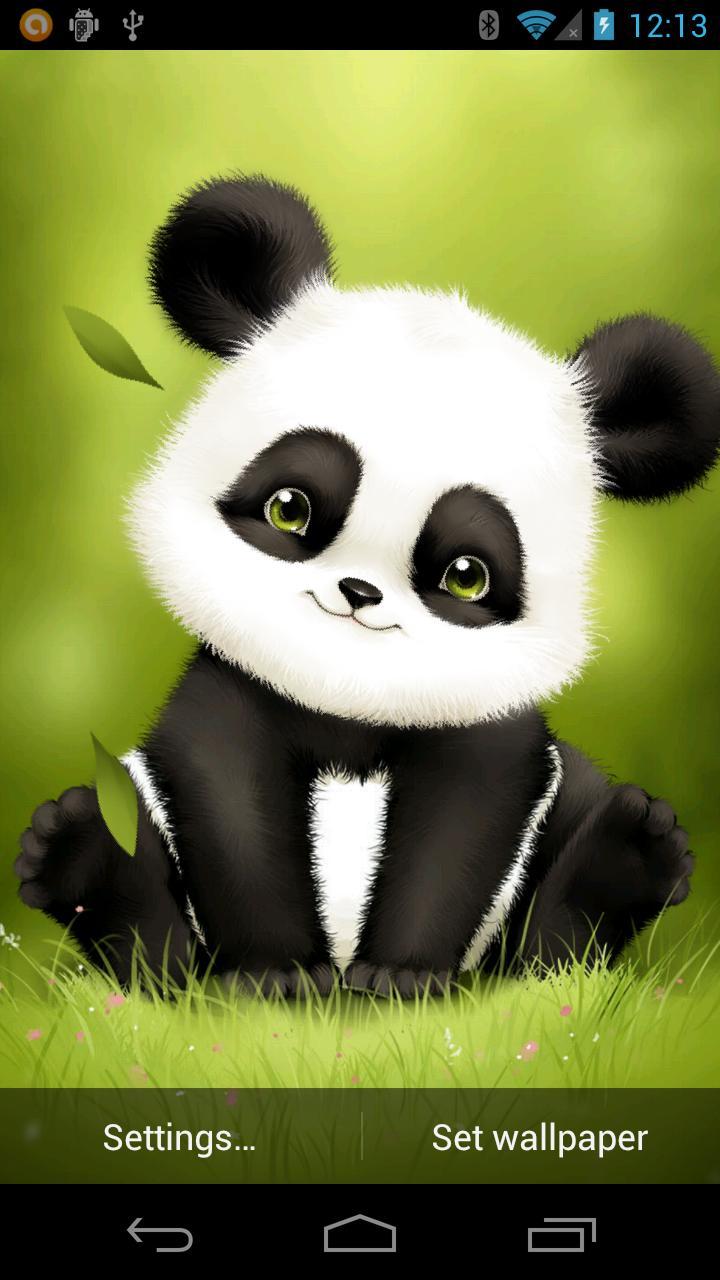 Panda Bobble Head Wallpaper