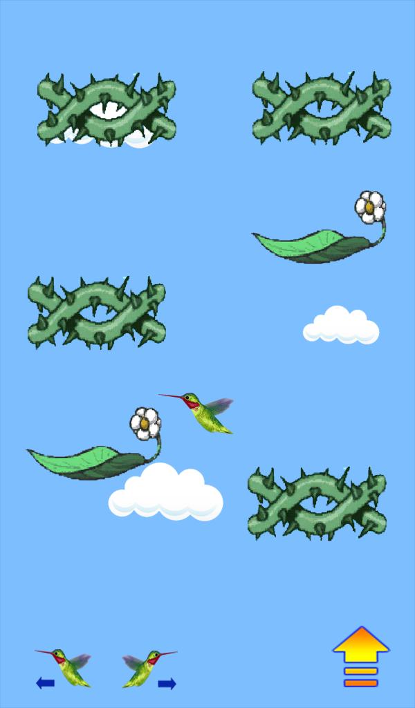 Humming Bird
