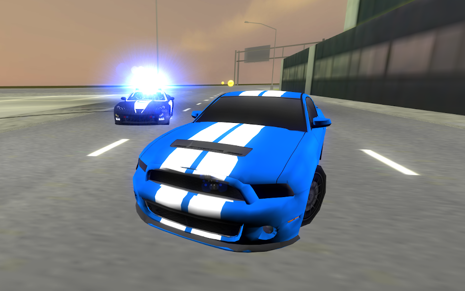 Police Real City Car Driving