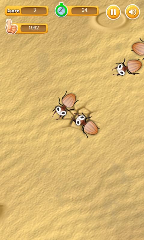 Catch Bugs