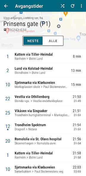 Bartebuss