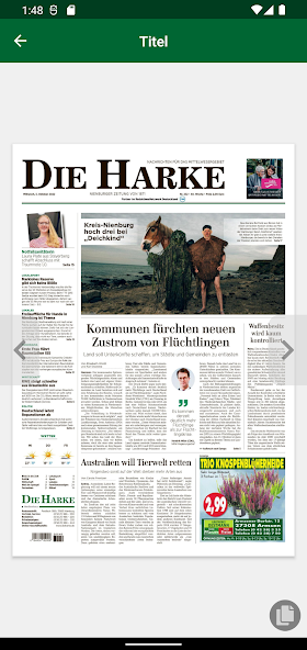 DH - E-Paper