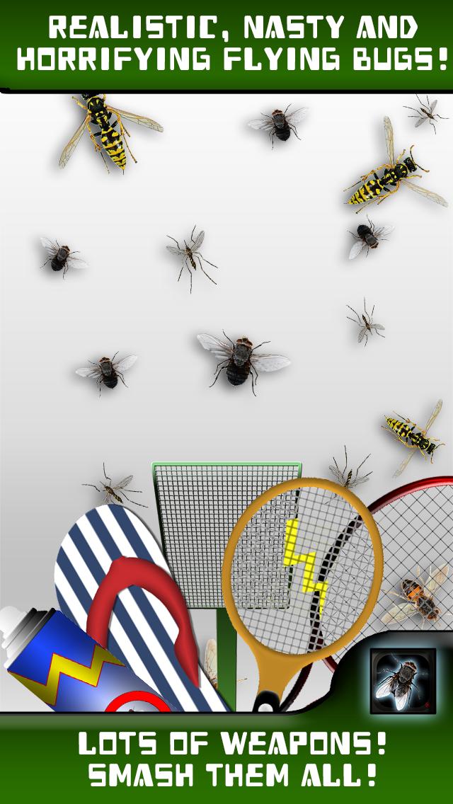 Where's that Fly?