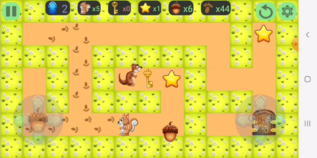 The Squirrel Maze