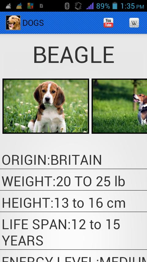 Dog Breeds