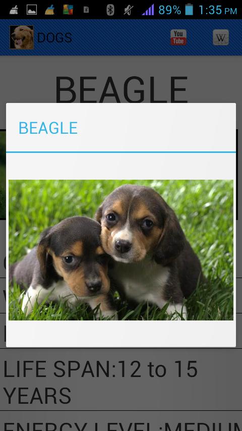 Dog Breeds