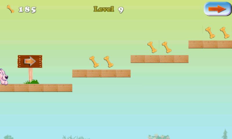 Dog High Jump