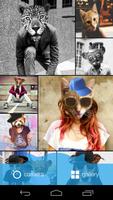 Meow Animal Face Photo Editor