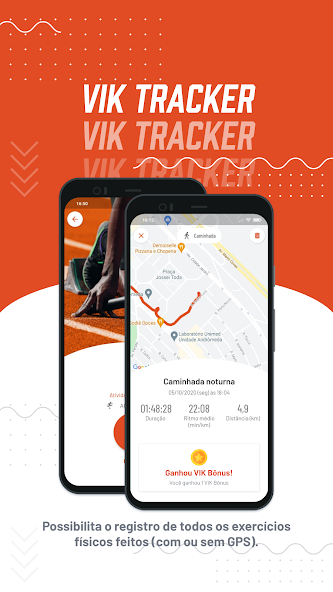 VIK
