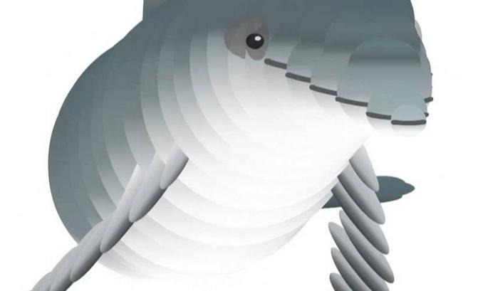 Swimming Dolphin