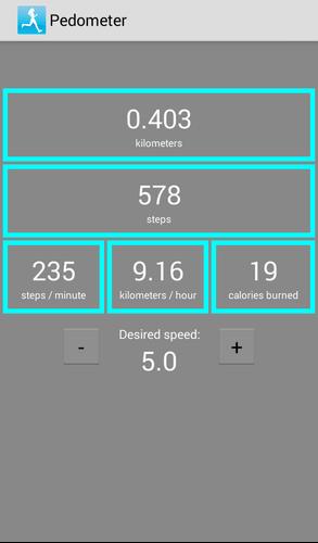 Pedometer