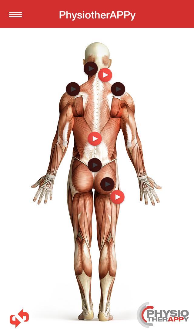 PhysiotherAPPy lite