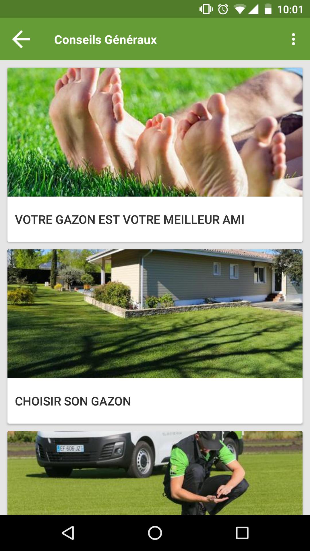 100% Gazon