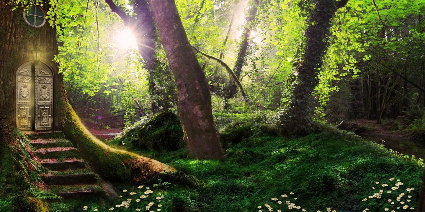 Magic forest live wallpaper