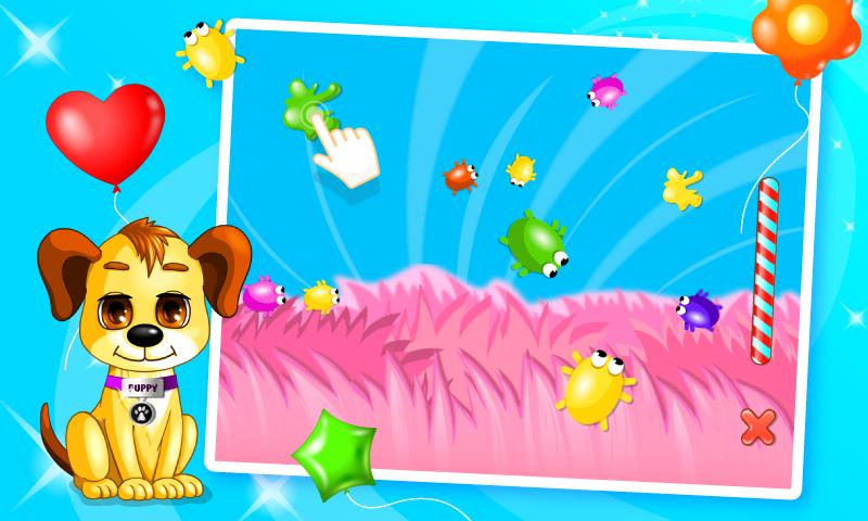 Pet Birthday Party