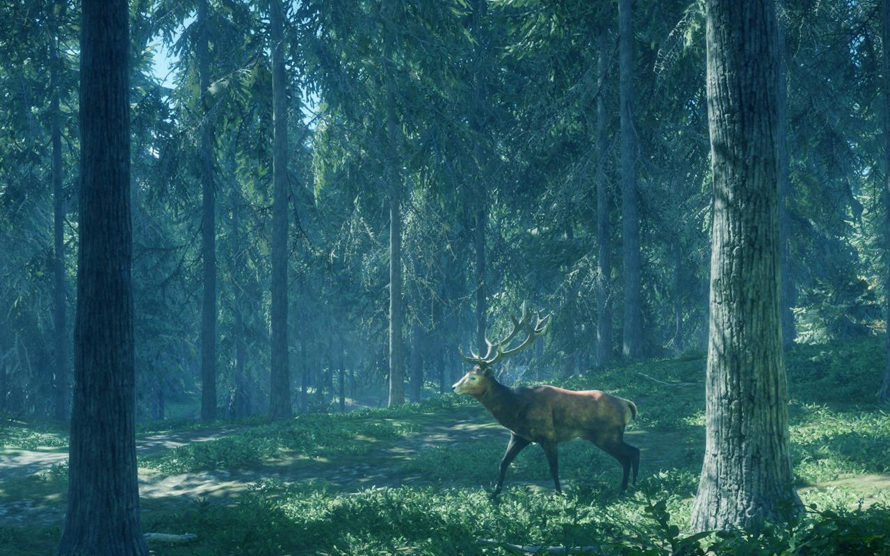 The Hunter: The Wild is call