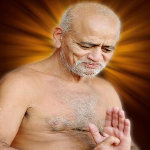 Vidhya Sagar Sant