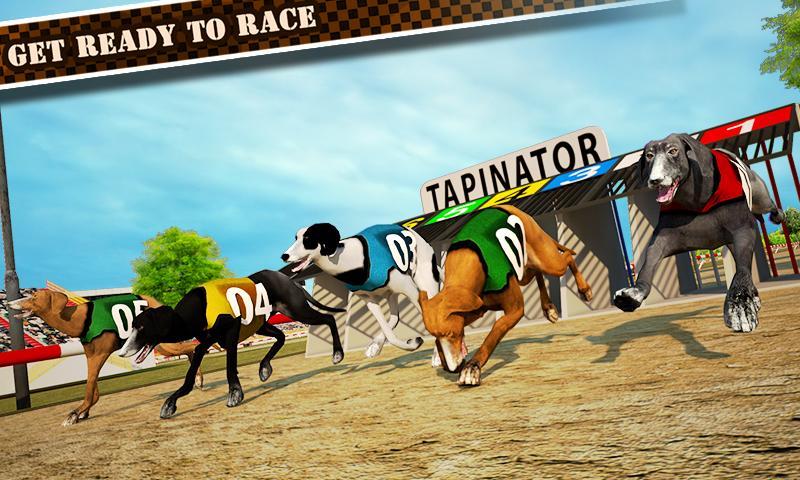 Dog Race & Stunts 2016