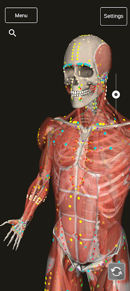 3D Counterstrain