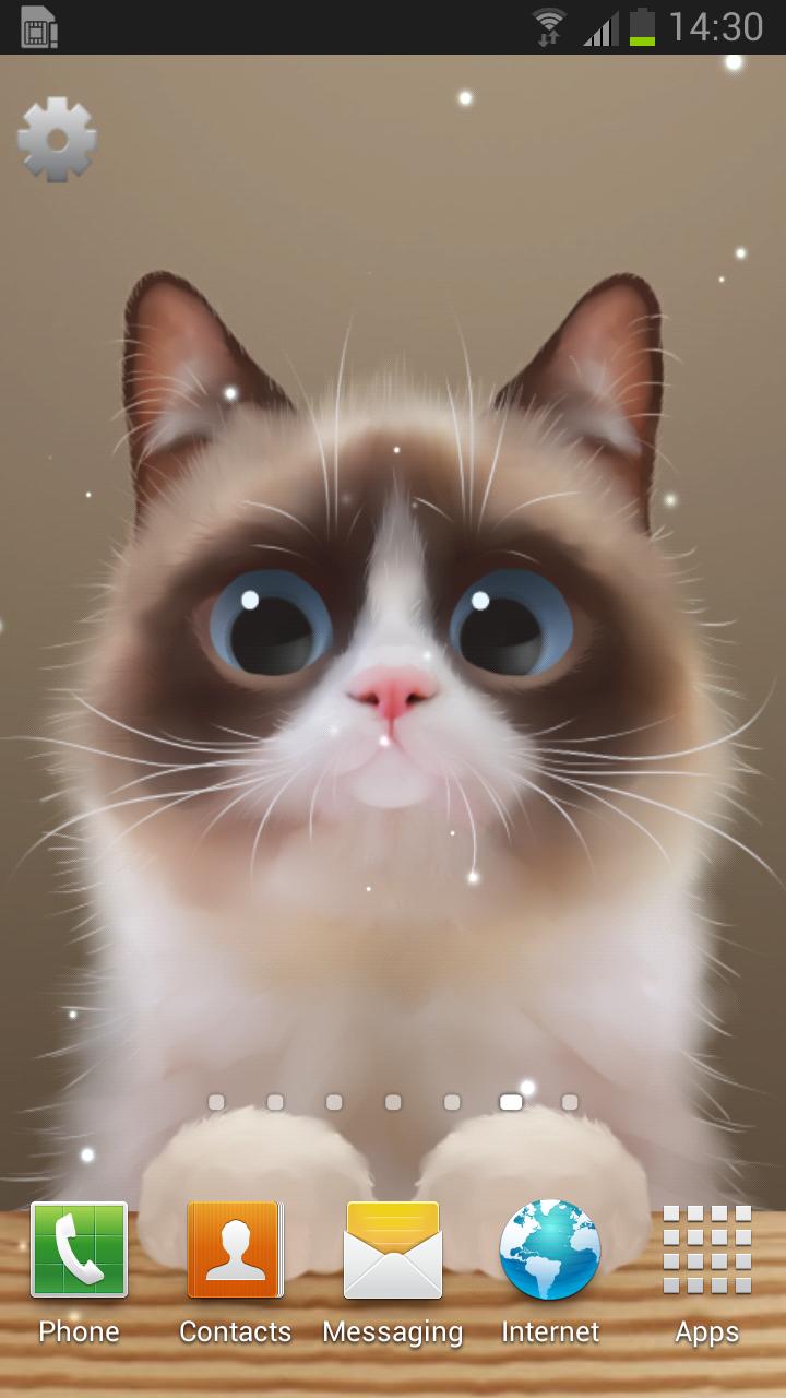 Shui The Kitten Lite