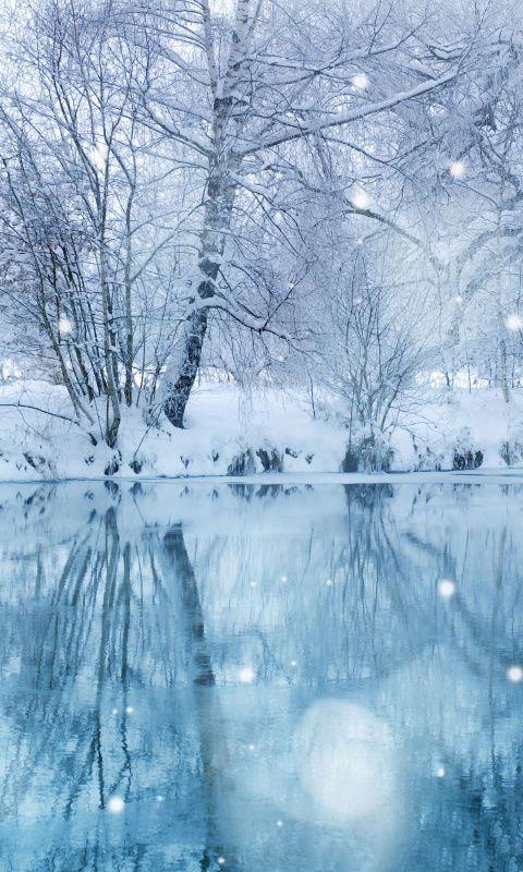 Snow Live Wallpaper