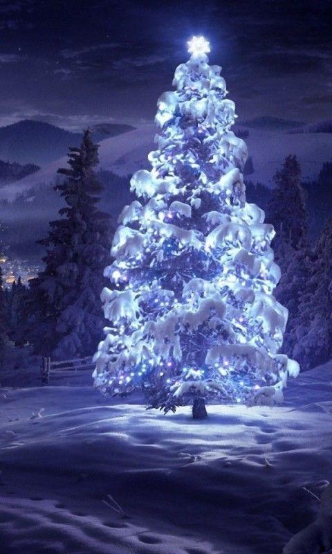 Snow Live Wallpaper
