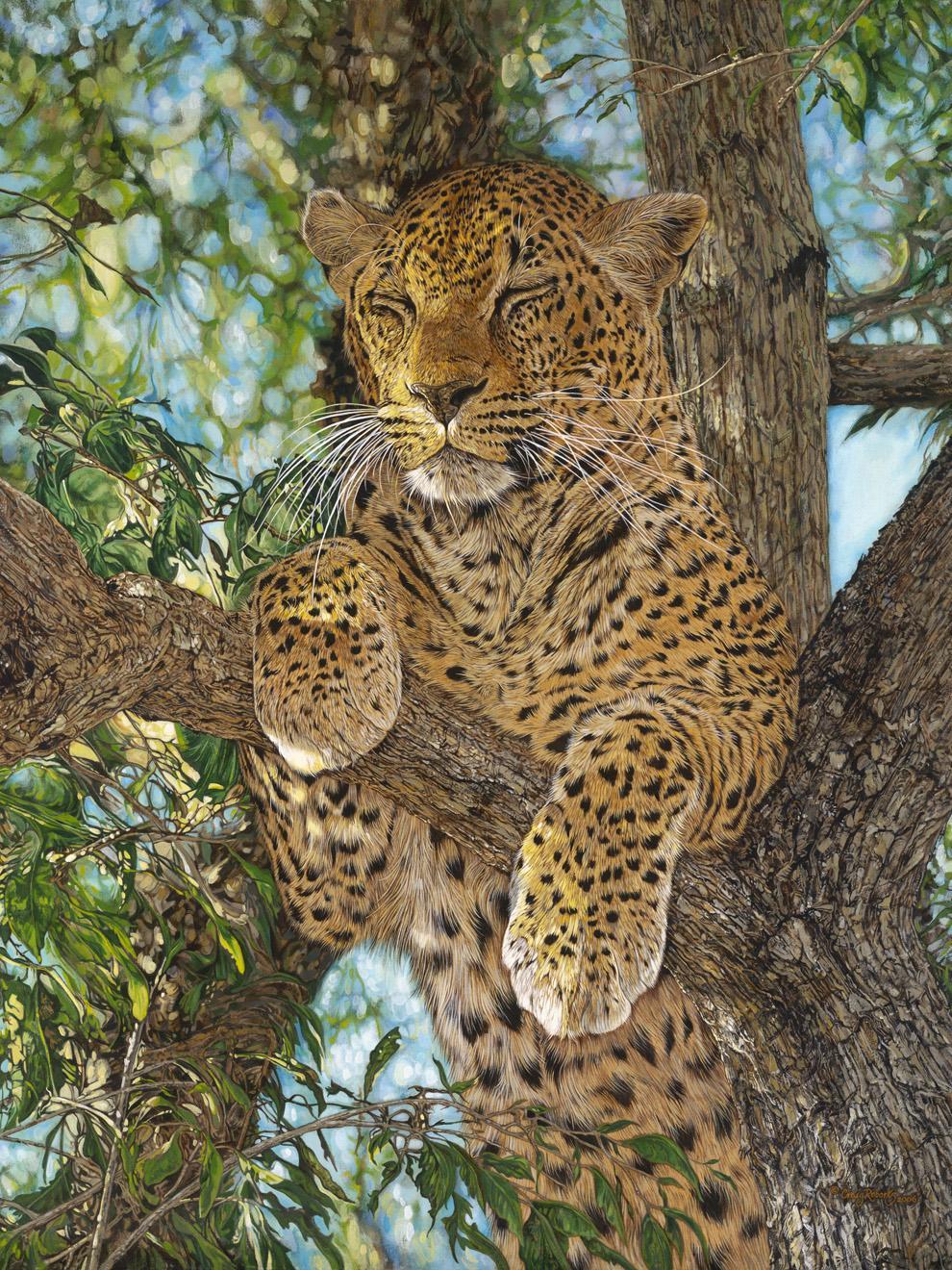 Safari Jigsaw animal puzzles