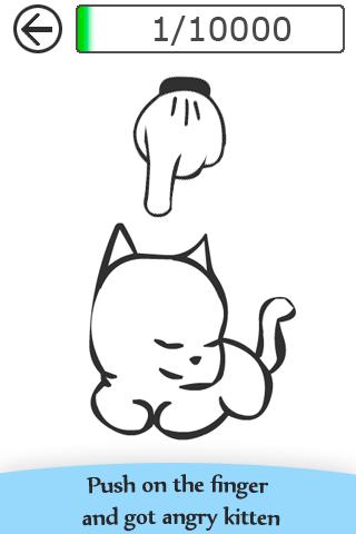 Angered Kitten