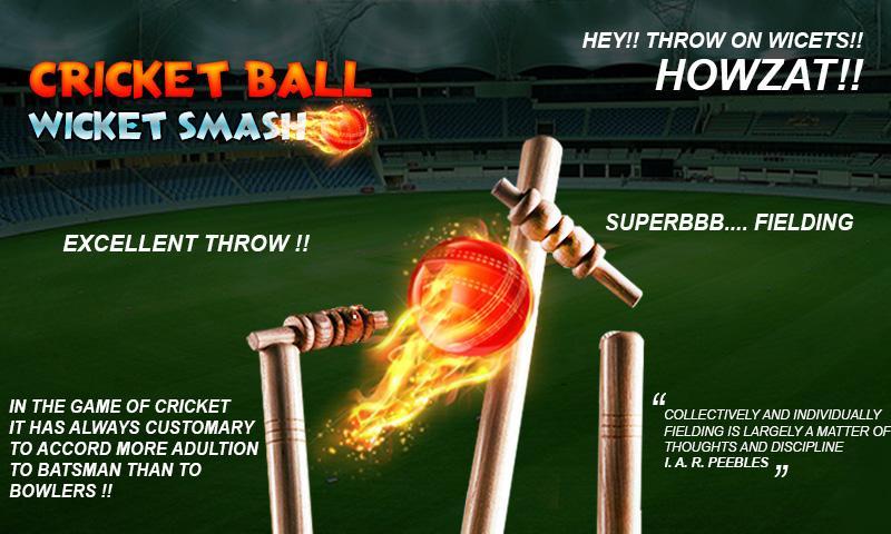 cricket bowling 3d 2017