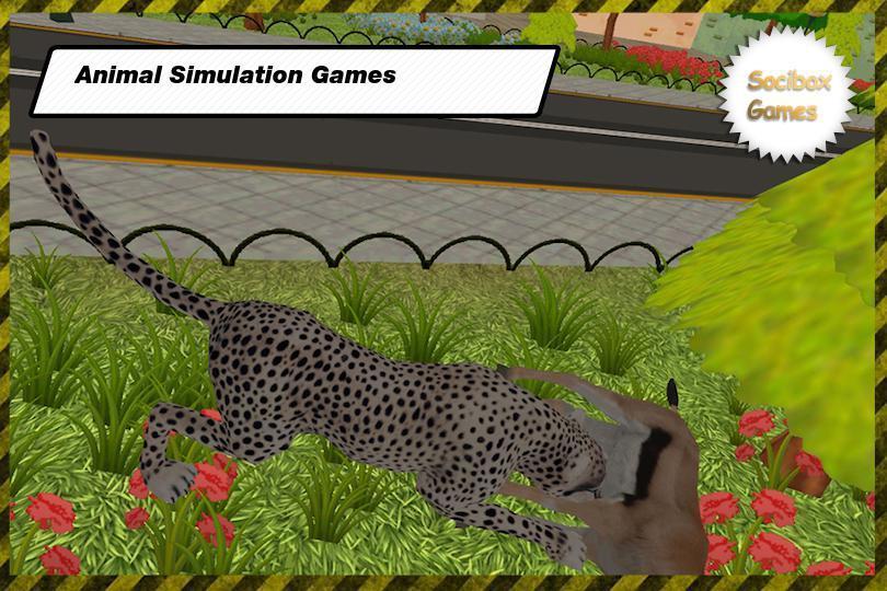 Hunting With Cheetahs