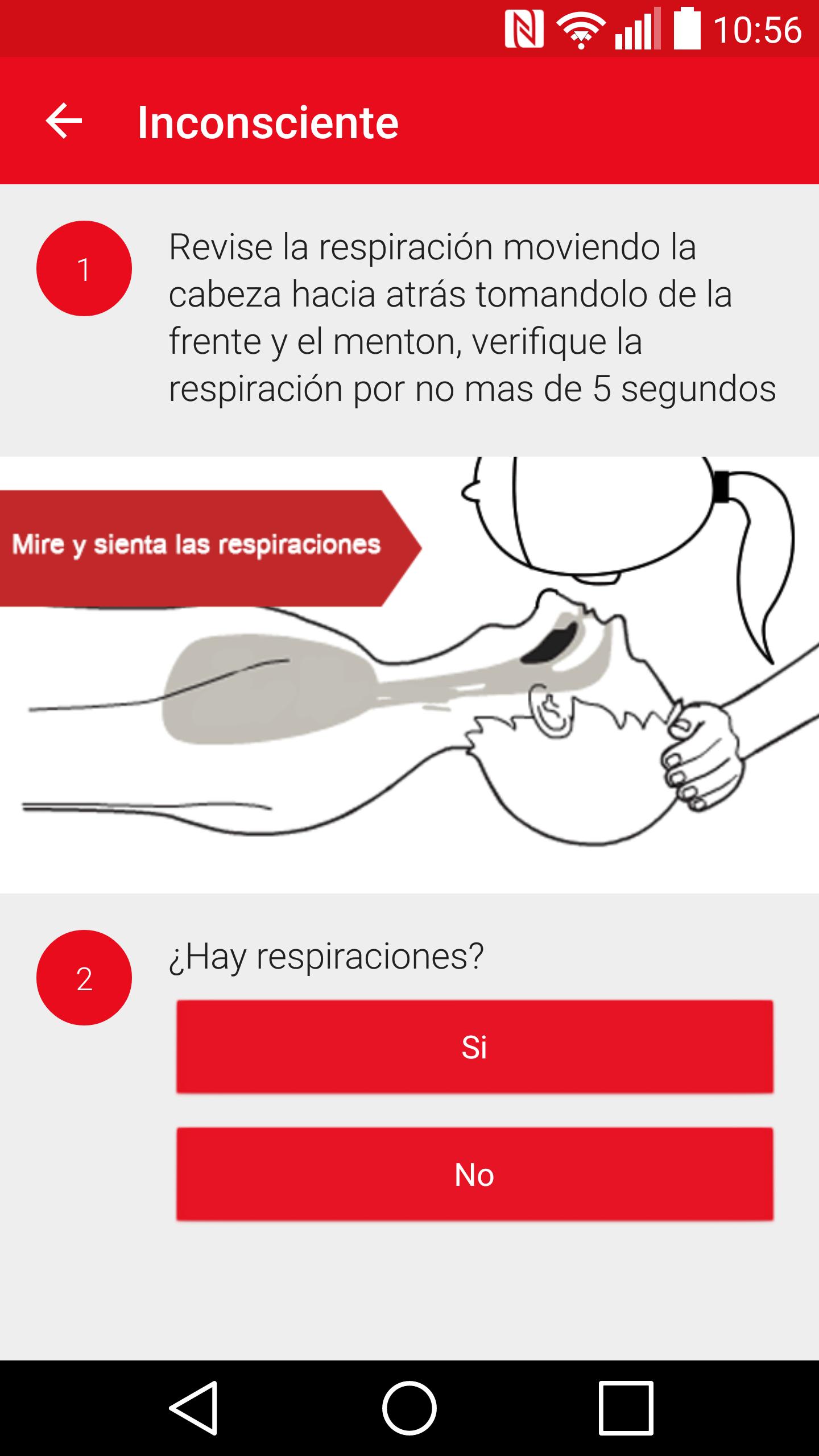 Cruz Roja Chilena