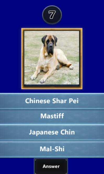 Quizup the Dog breed