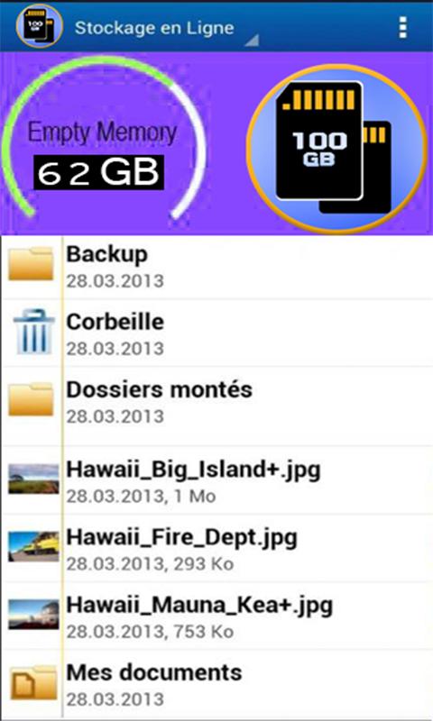+100GB Memory card