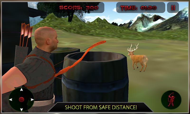 Bow Arrow Wild Animal Hunting