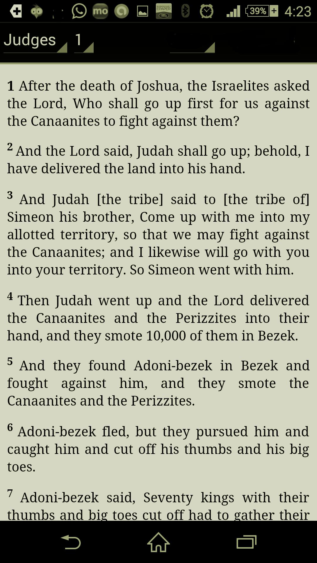 The NLV Bible