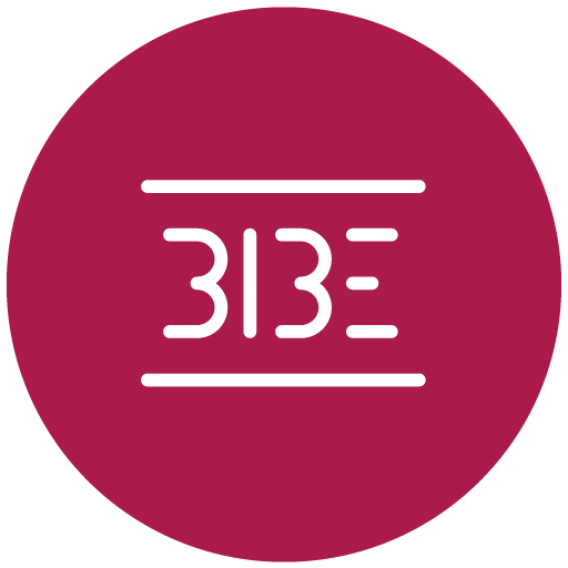 BIBE Control