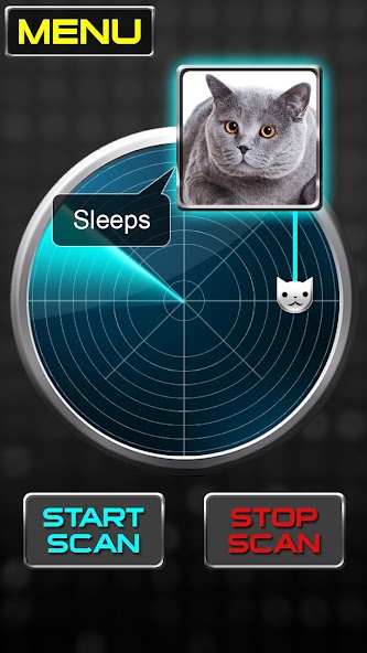 Radar What Makes Cat Joke
