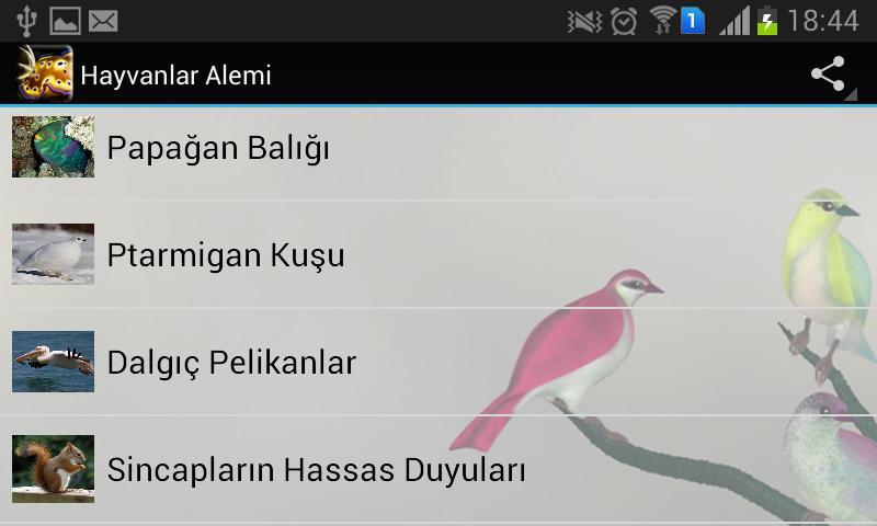 Hayvanlar Alemi