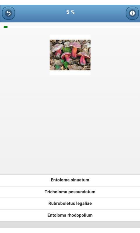 Mushrooms - quiz